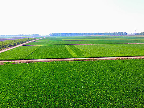 tỷ lệ ăn lô