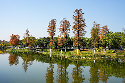 lo kep khung3 ngay 247
